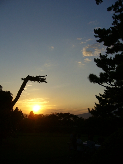 c0198781_1552845.jpg