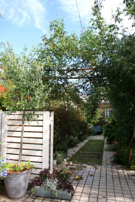 e0154682_2335225.jpg