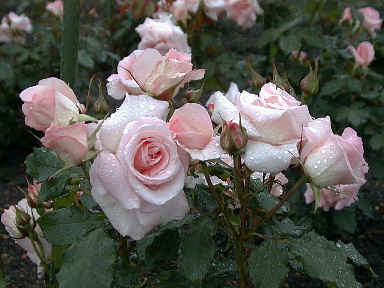 b0169987_1420527.jpg