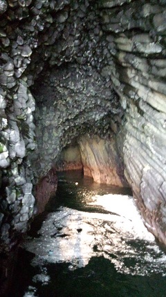 b0128589_14551084.jpg