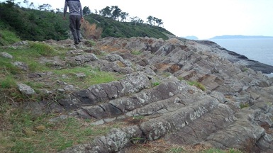 b0128589_1510454.jpg