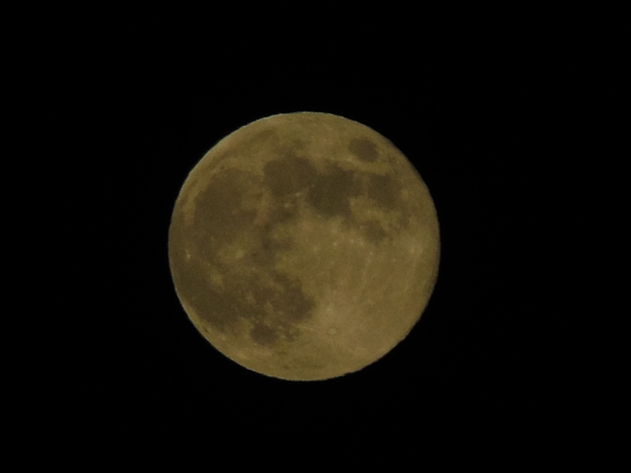 a0230192_14253463.jpg