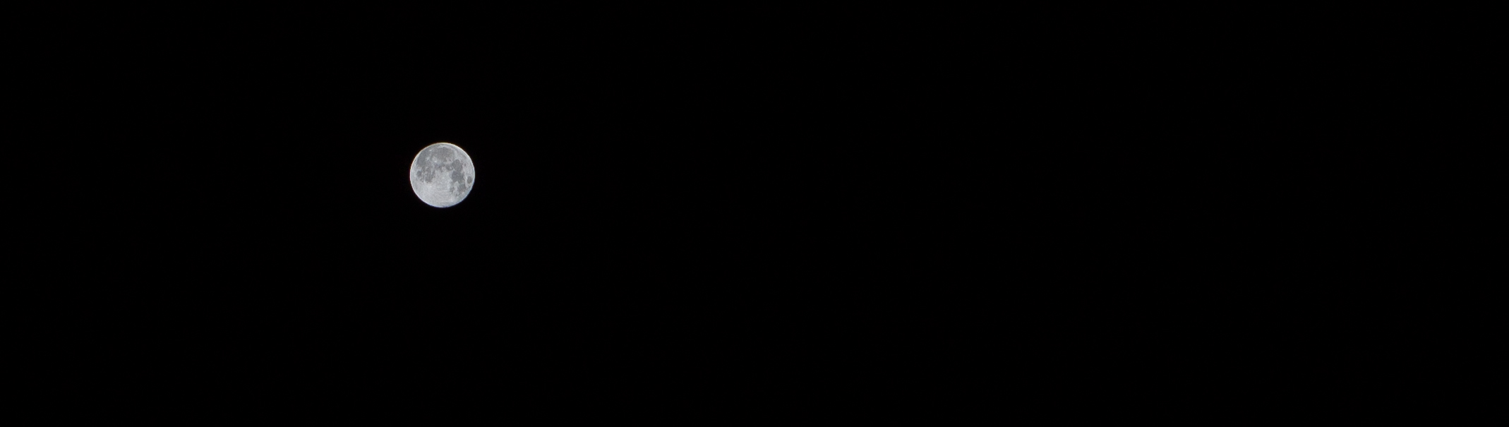 a0185693_71519.jpg