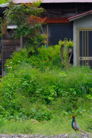 d0133693_21193426.jpg