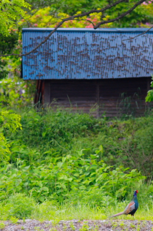 d0133693_2119988.jpg