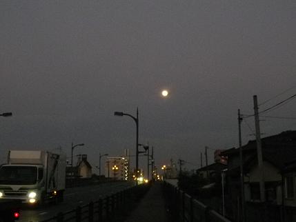 e0048994_97414.jpg