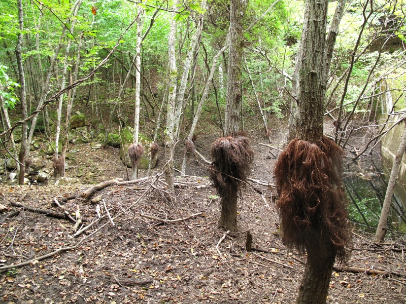 f0129994_2121121.jpg