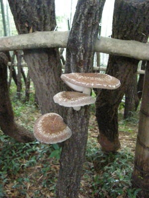 e0017396_23142594.jpg