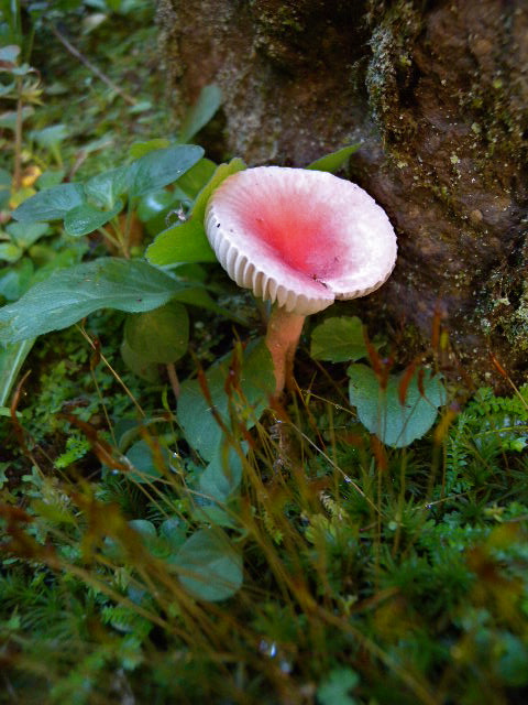 a0199297_10495576.jpg
