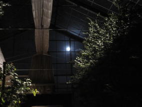 b0028299_21492099.jpg