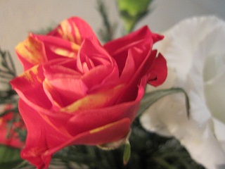 c0152002_11323918.jpg