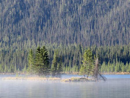b0051109_1558127.jpg