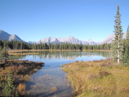 b0051109_15591134.jpg