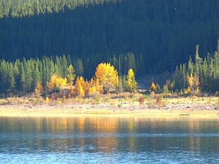 b0051109_1602531.jpg