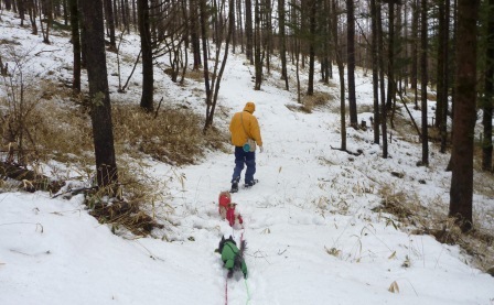 e0078510_14324051.jpg