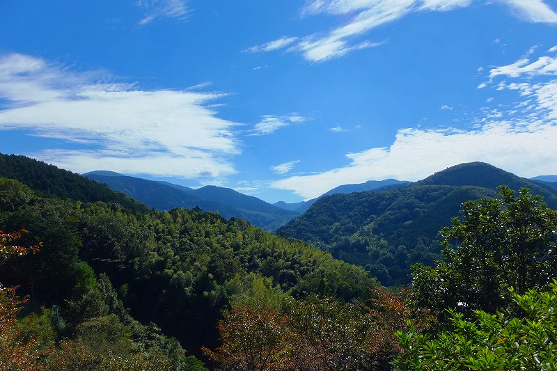 f0182513_2334957.jpg