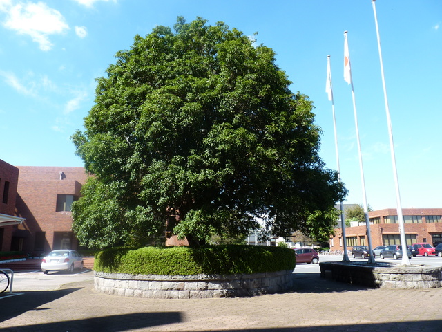 d0197317_19452150.jpg