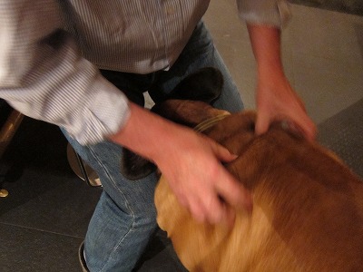 e0192217_824967.jpg