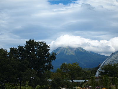 a0157619_2343548.jpg