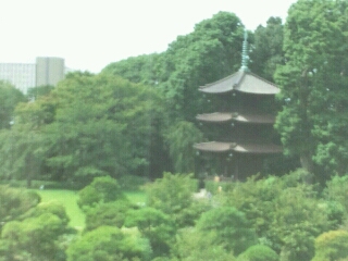 f0106823_1055694.jpg