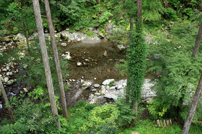 e0071225_1153538.jpg