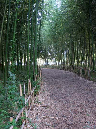 f0147025_20114194.jpg