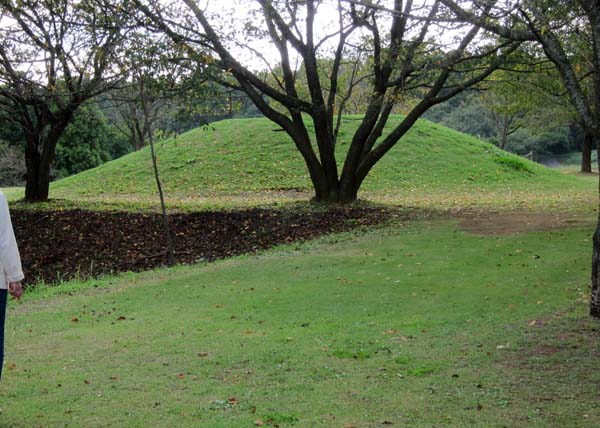 f0147025_2091684.jpg