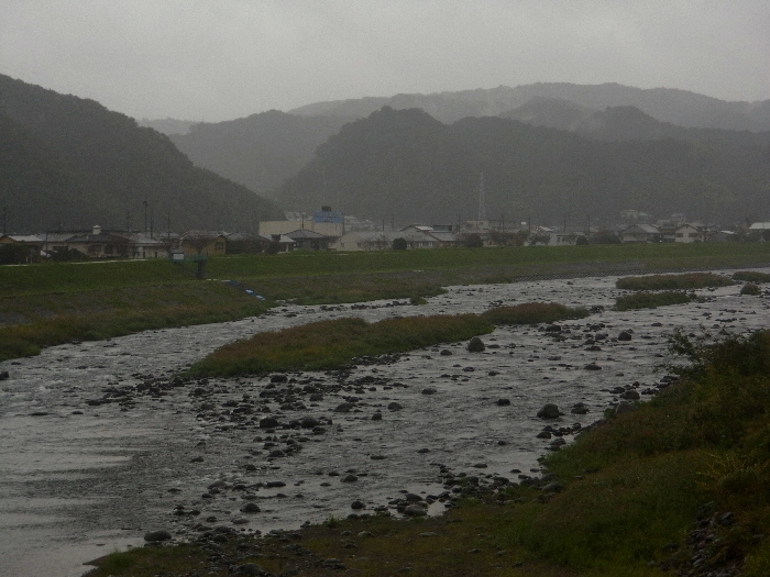 f0103126_20355436.jpg