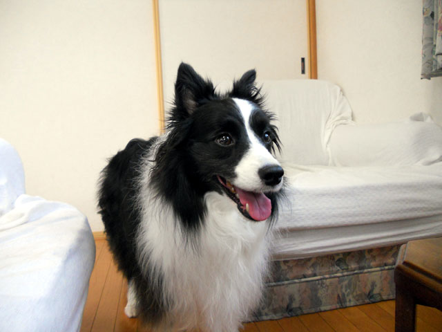 d0059230_8301456.jpg