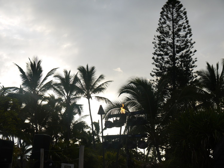 a0224731_114623.jpg