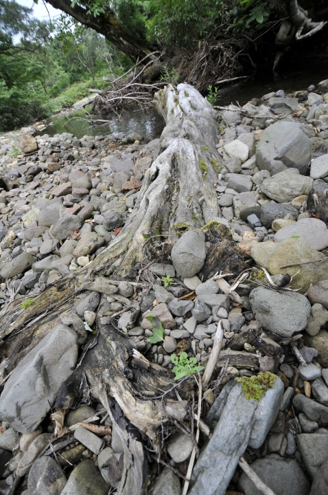 c0133133_13432699.jpg
