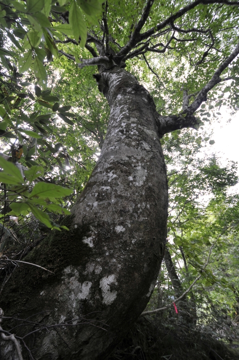 c0133133_13434652.jpg
