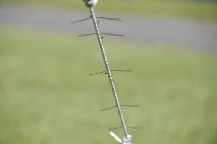 c0133133_1904544.jpg