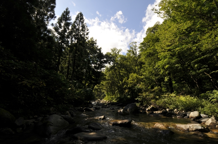 c0133133_21221757.jpg