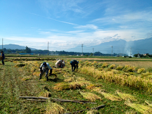 f0209740_1152536.jpg