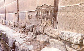 a0100742_8584771.jpg