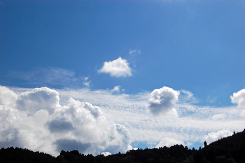 d0164443_21275975.jpg