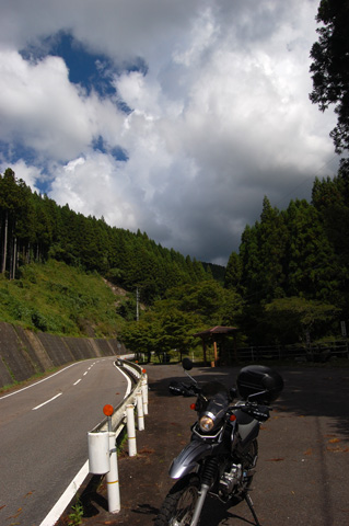 d0164443_2129078.jpg