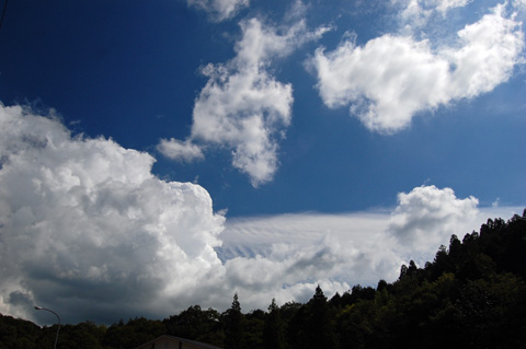 d0164443_21312371.jpg