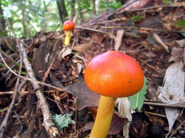 e0007544_754486.jpg