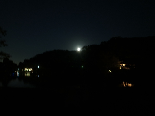 d0134147_18431364.jpg