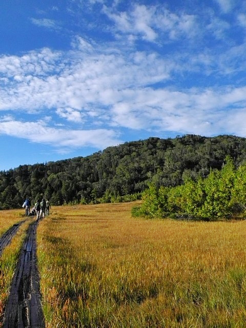 b0122448_7255959.jpg