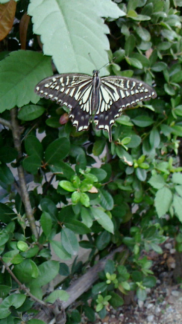 a0251450_2171048.jpg