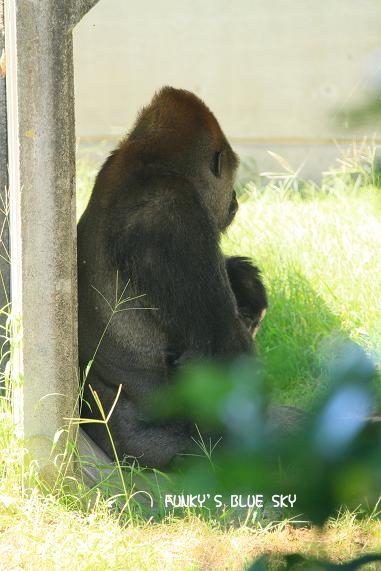c0145250_11593054.jpg