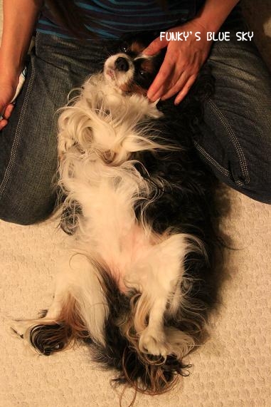 c0145250_120810.jpg
