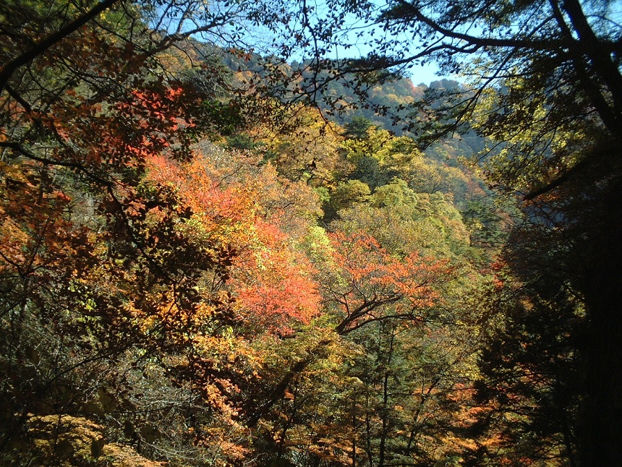 a0286351_11555829.jpg