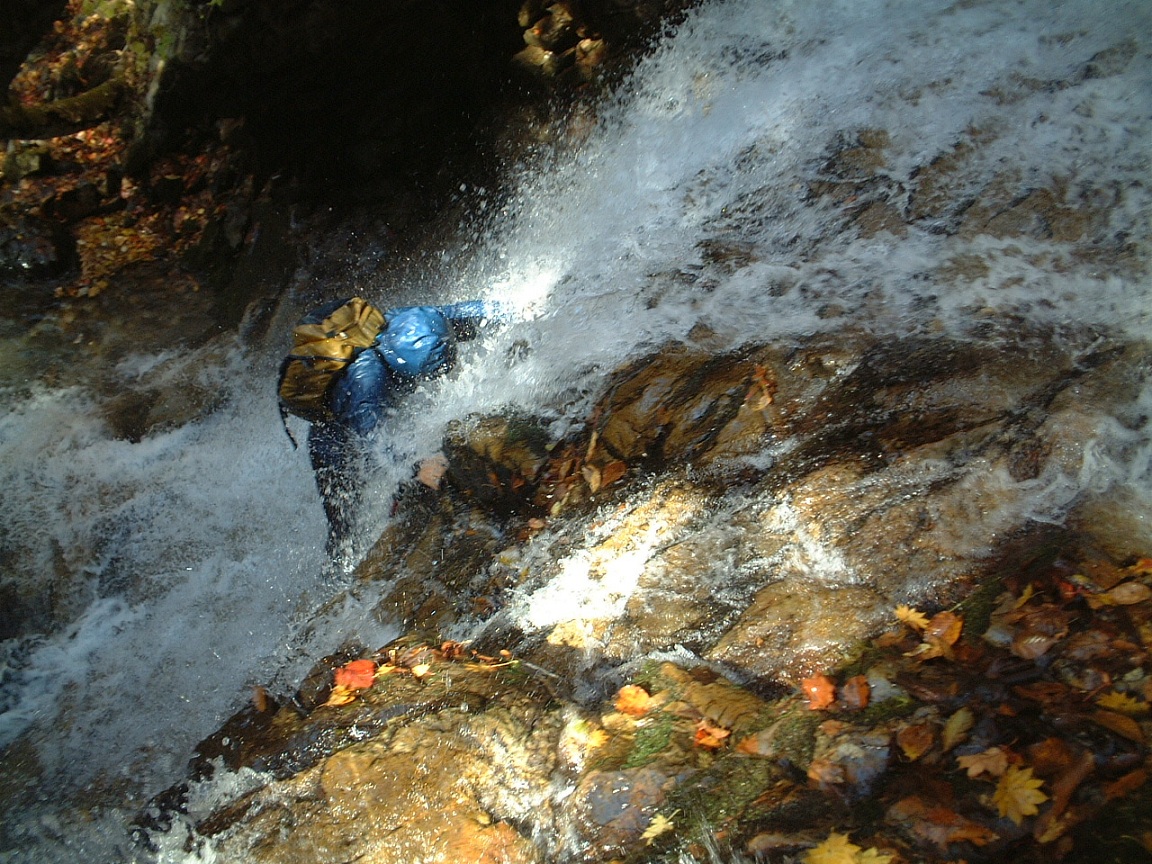 a0286351_1156515.jpg