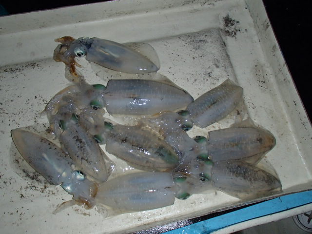 a0248152_2003249.jpg