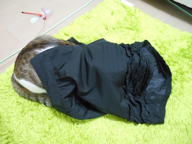 a0150353_23171834.jpg