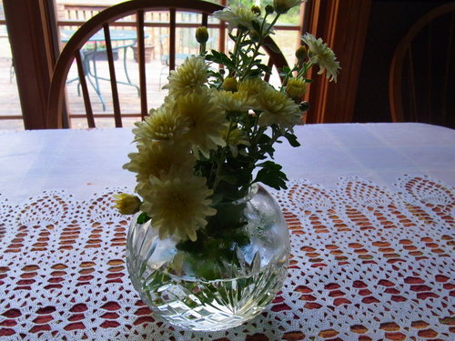 a0149356_124737.jpg